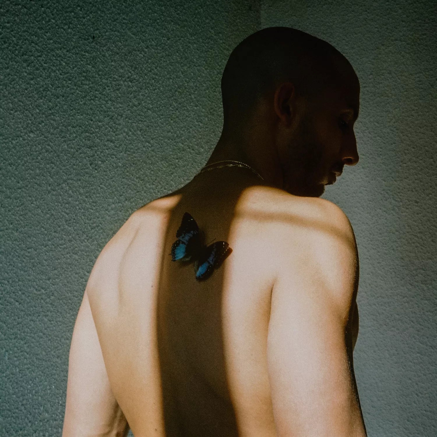 Man In Nood (Transparent Red LP)