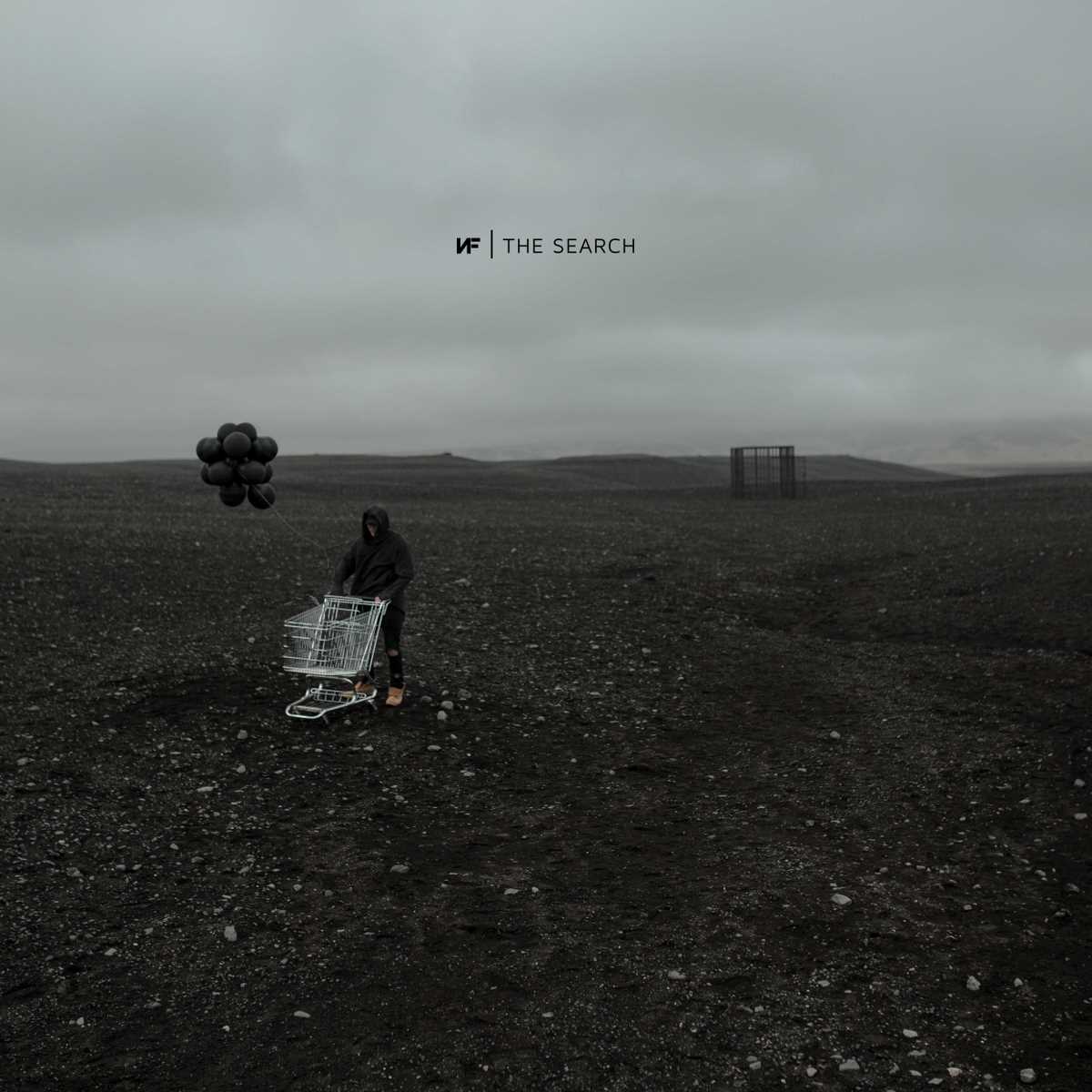 The Search (2LP)