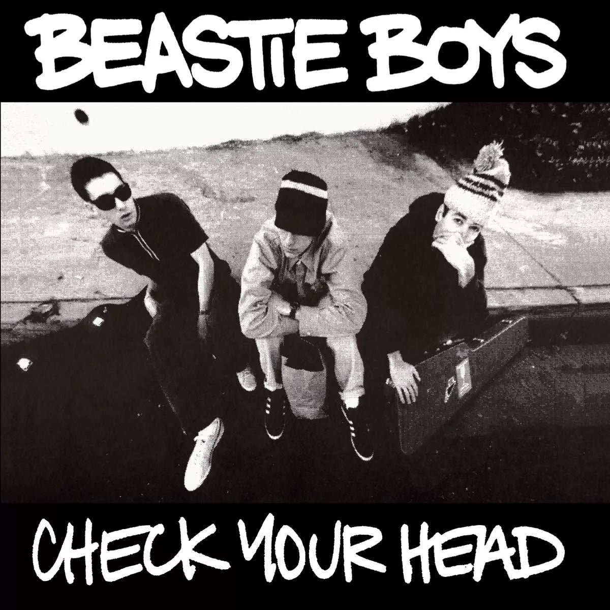 Check Your Head (Deluxe Edition 2LP)
