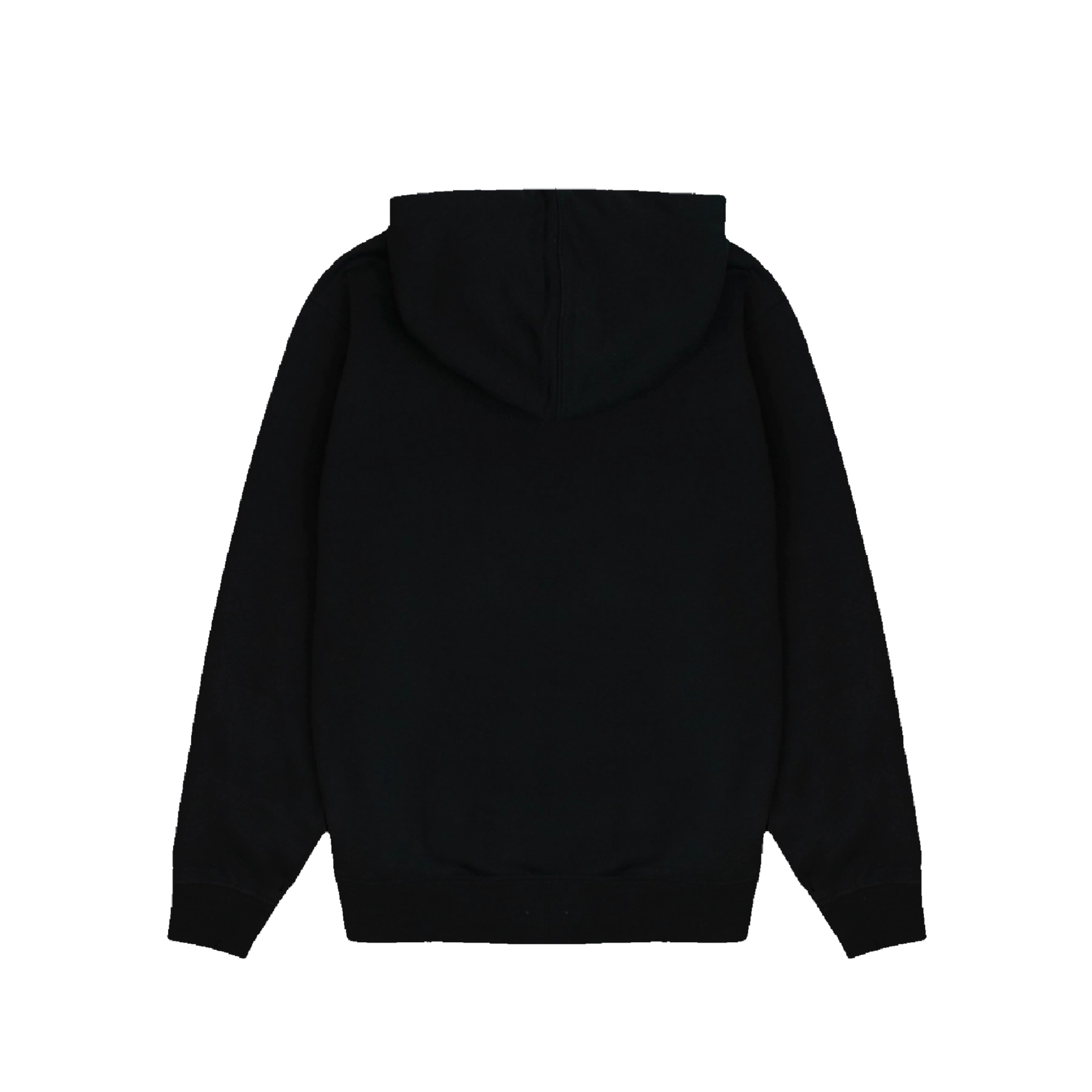 Icon Hoody