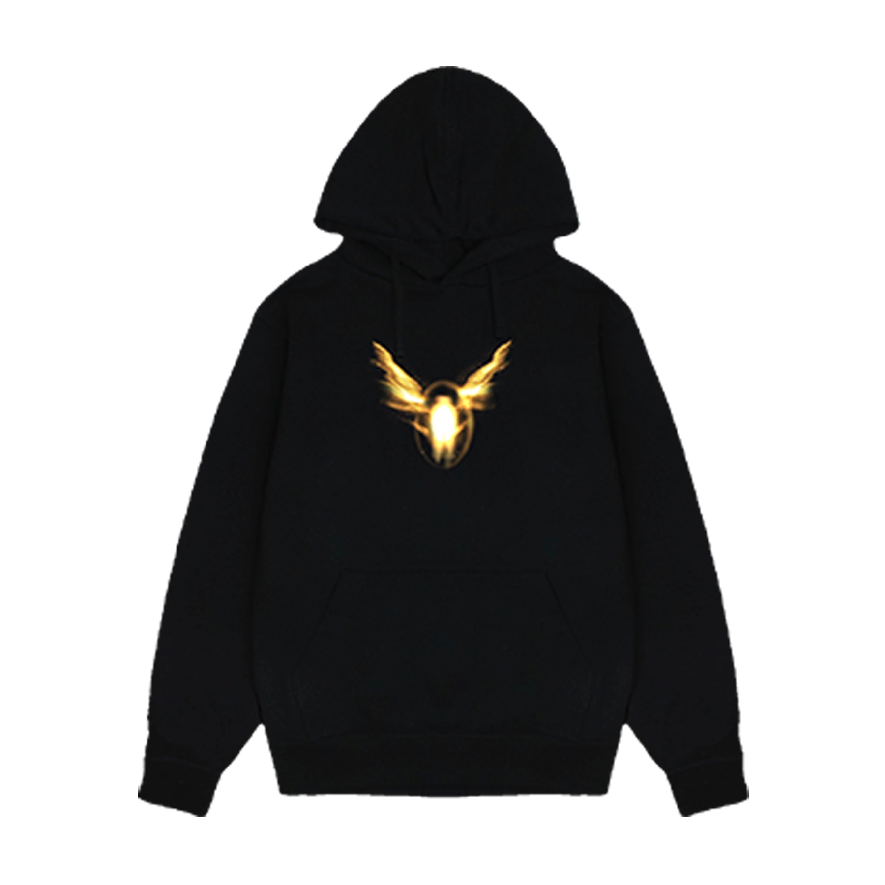 Icon Hoody