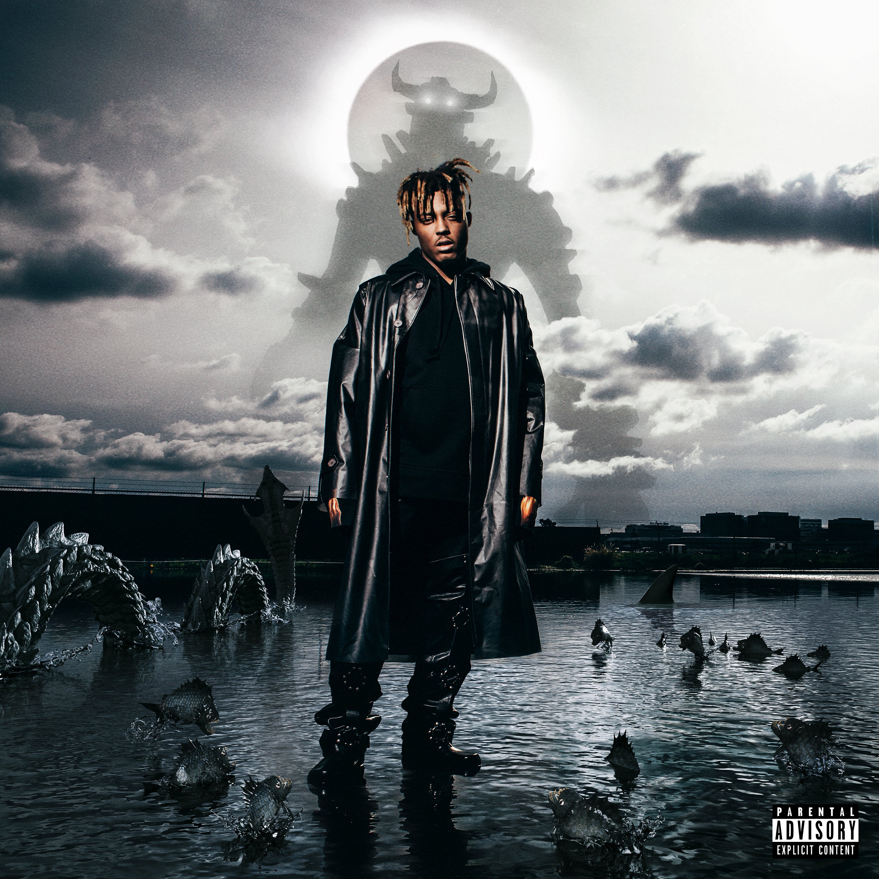 Fighting Demons (2LP)