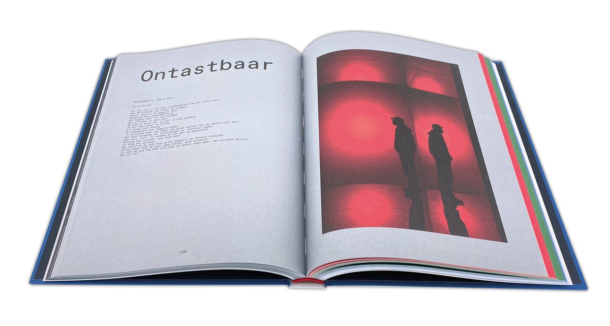 Grijnzen naar de Goden (Book)