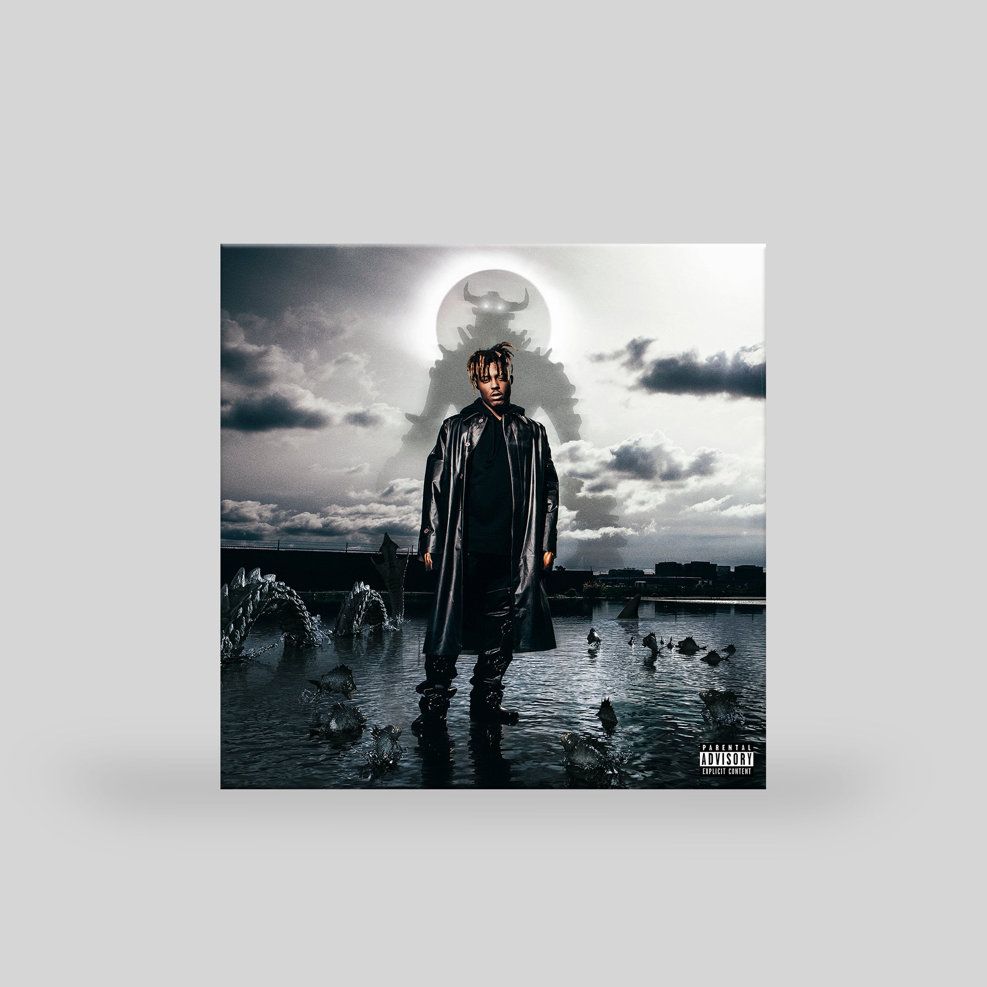 Fighting Demons (2LP)